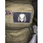 Parche Predator de velcro photo review