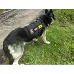 Parche Peligro Biológico photo review