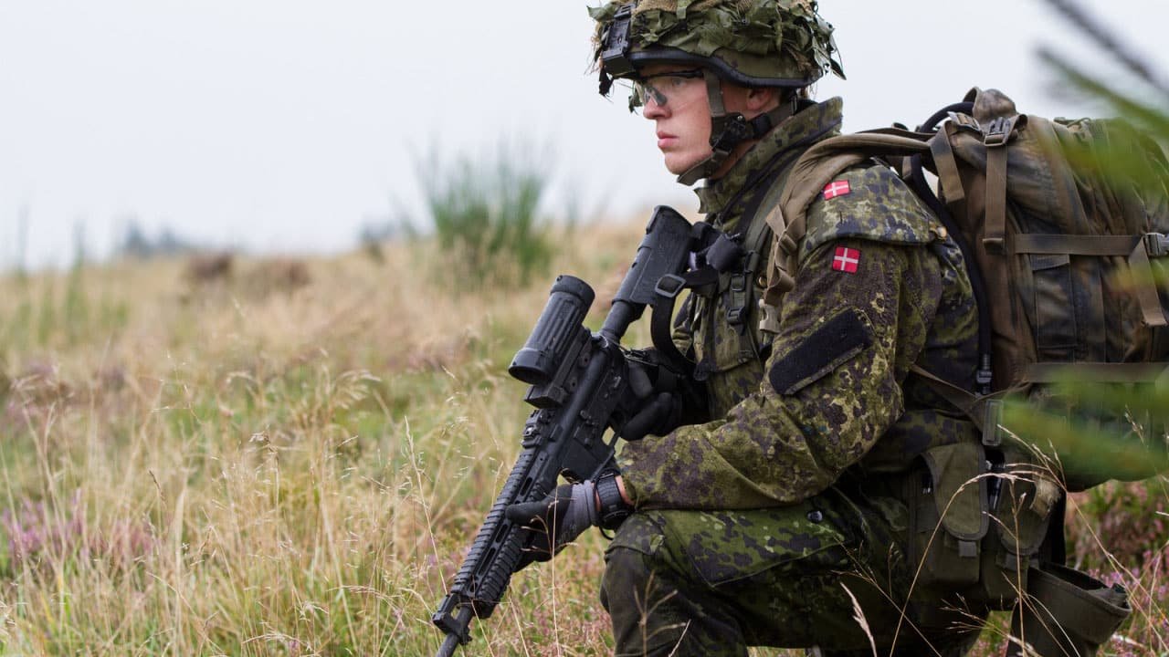 Fleck d m84 camuflaje