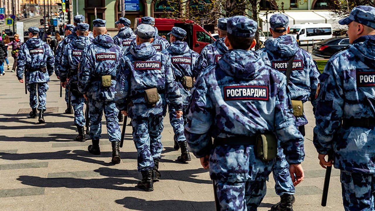 Efectividad camuflaje musgo azul