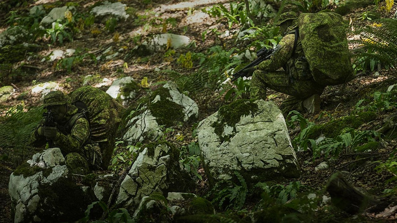 Eficacia del camuflaje Pencott greenzone