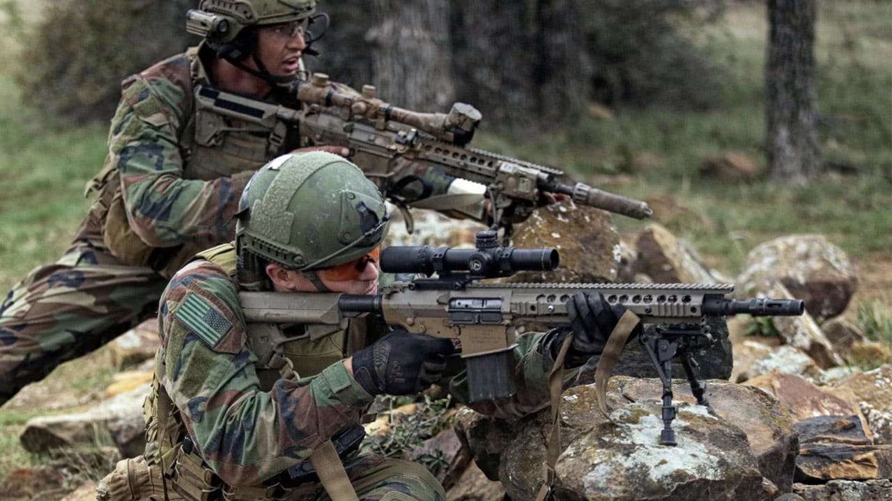 Eficacia del camuflaje de bosque