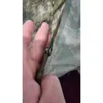 Poncho de lluvia Multicam Tropic photo review