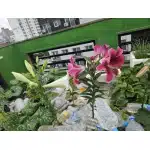 Poncho militar impermeable negro photo review