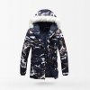 woodland-blue-es