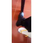 Botas tácticas ligeras con cremallera color beige desierto photo review