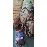 Calcetines tácticos verde militar Iguana photo review