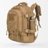 coyote-brown-es
