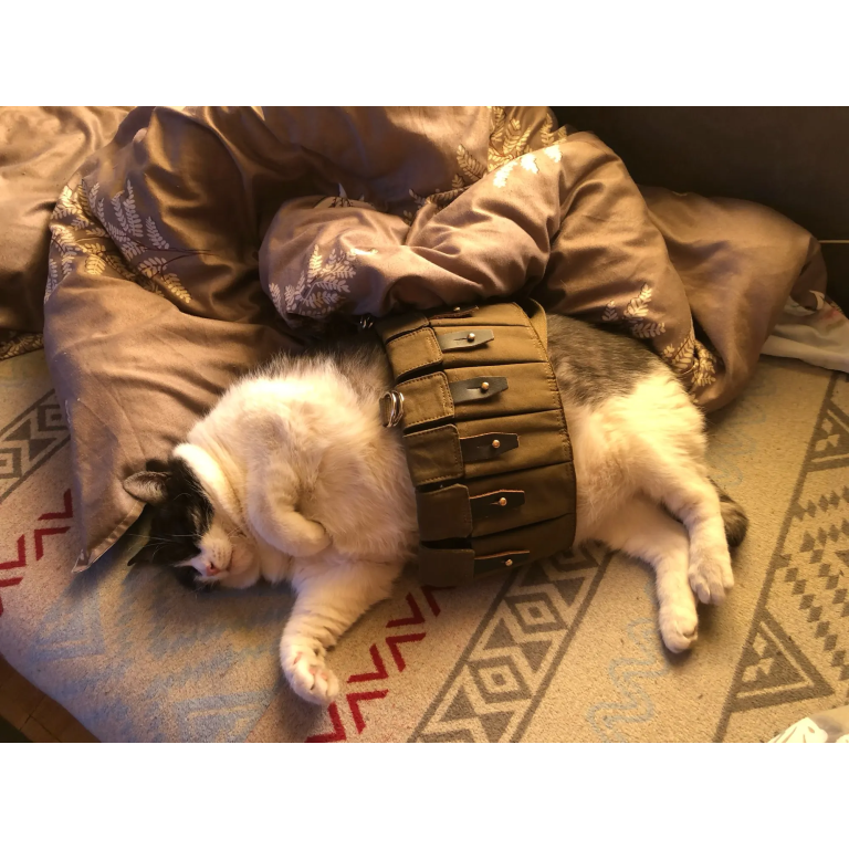 Arnés táctico de pecho soviético R22 "Lifchik" photo review