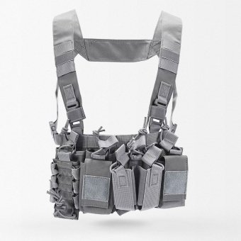 Chaleco táctico D3CR Wolf Grey
