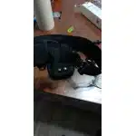 Cinturón táctico acolchado con funda photo review