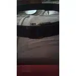 Cinturón táctico con hebilla automática photo review