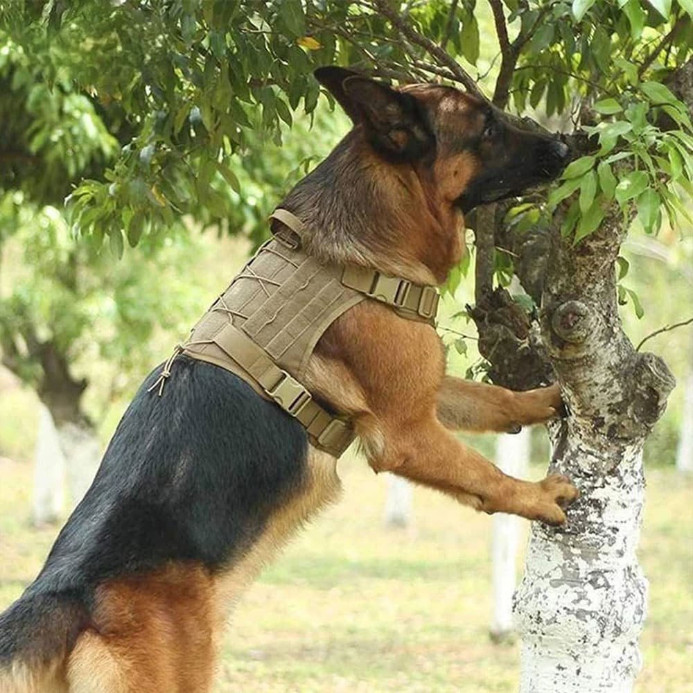 Chaleco arnés táctico para perros - Imagen 2