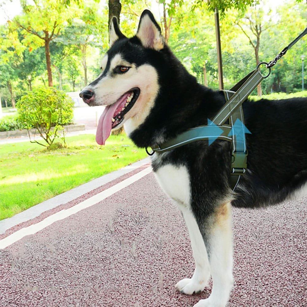 Arnés táctico minimalista para perro - Imagen 2