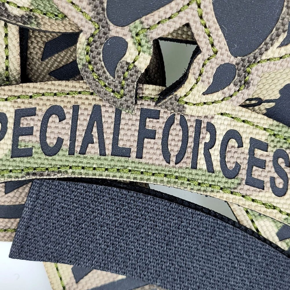 Parche militar de fuerzas especiales - Imagen 2