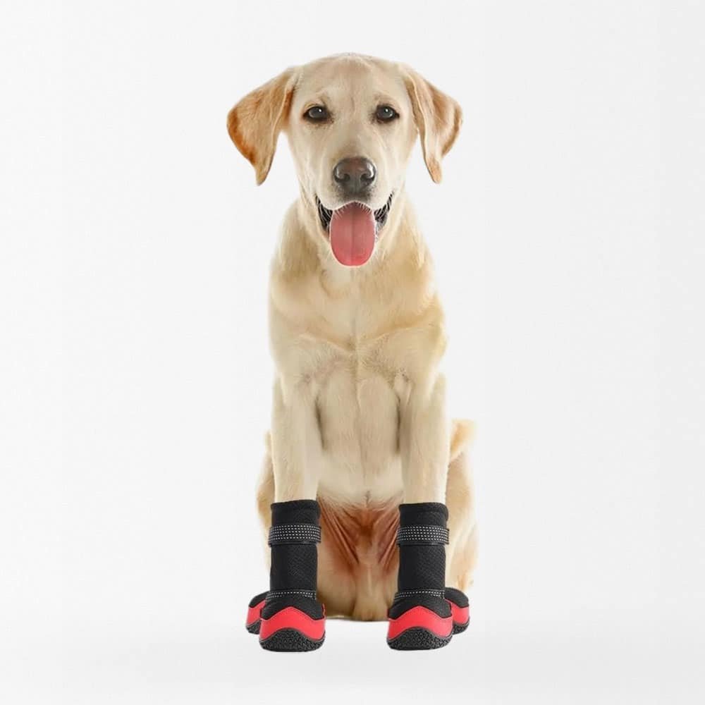 Botas militares para perros - Imagen 2