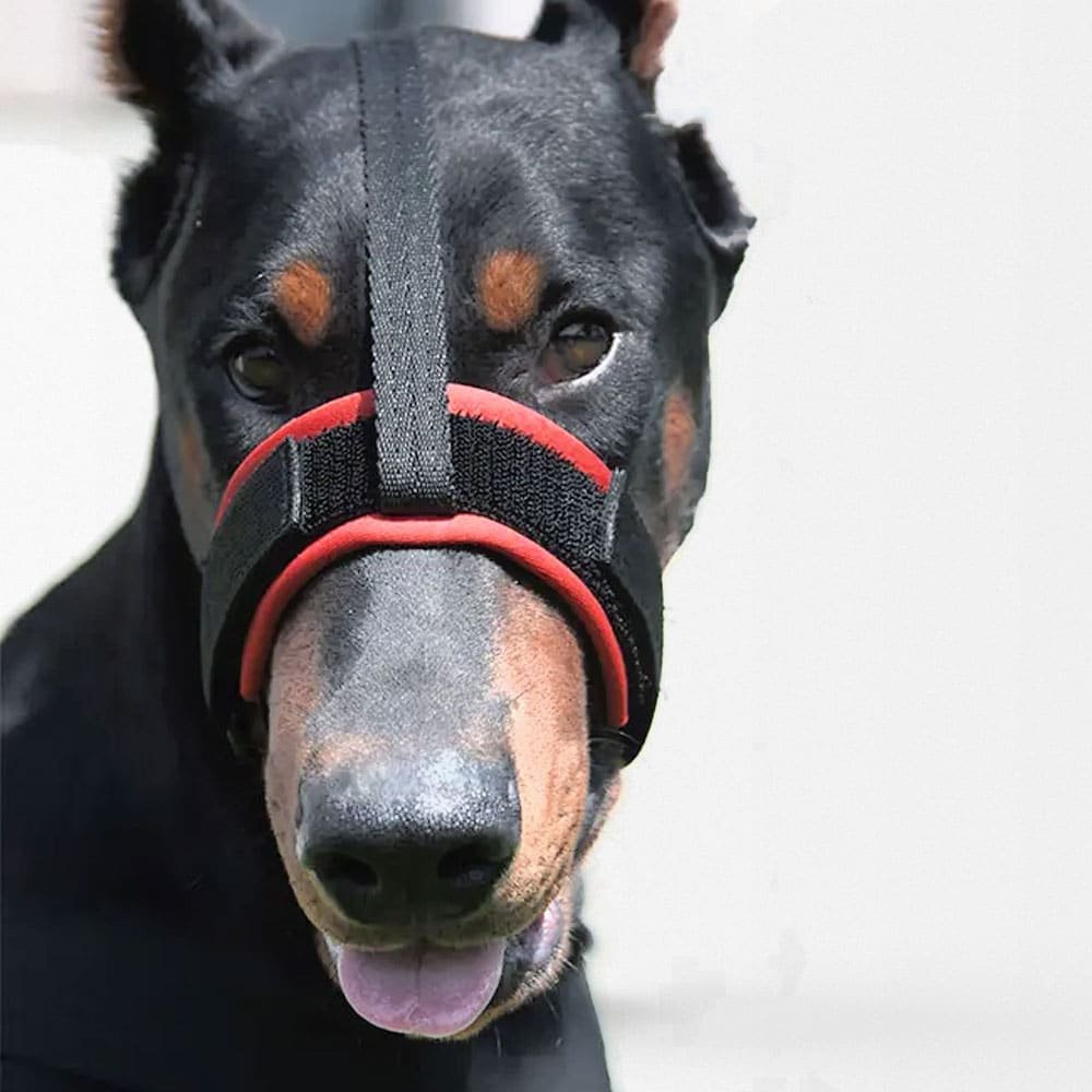 Bozal militar para perros - Imagen 3