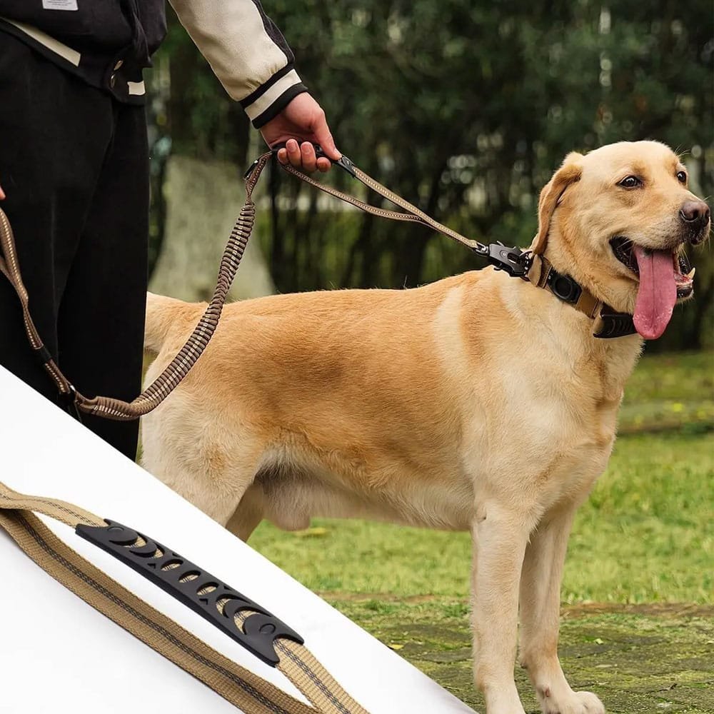 Correa táctica bungee para perros - Imagen 3