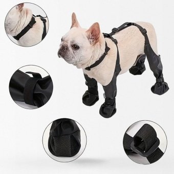 Botas tácticas para perros con arnés