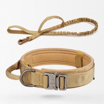 Collar y correa táctica para perros