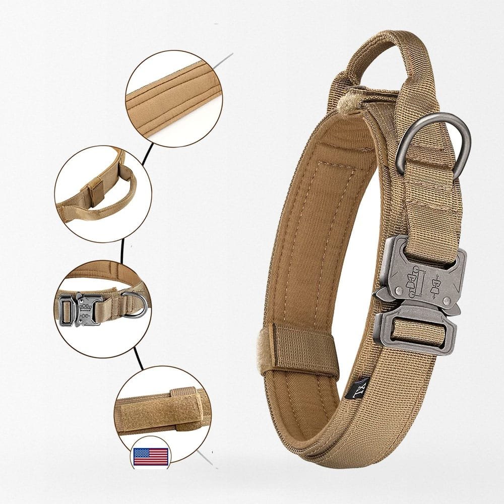 Collar y correa táctica para perros - Imagen 2