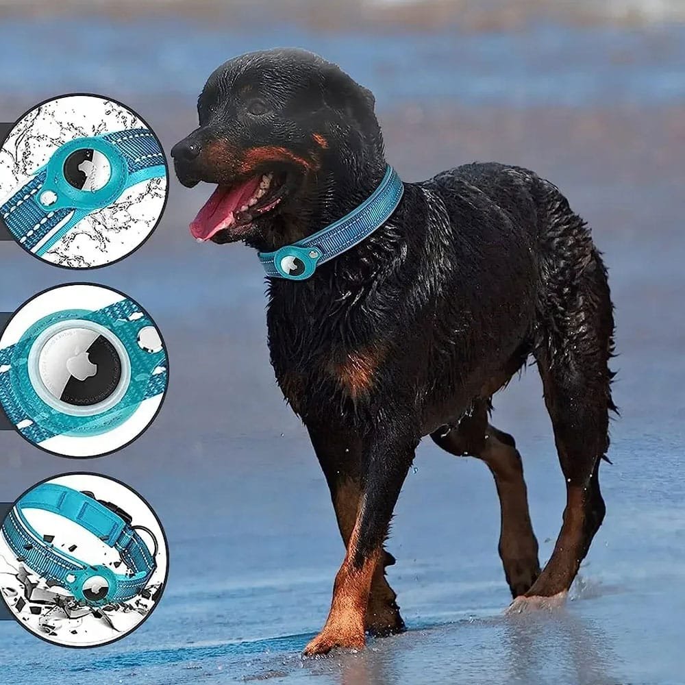 Collar táctico para perro con soporte para AirTag - Imagen 3