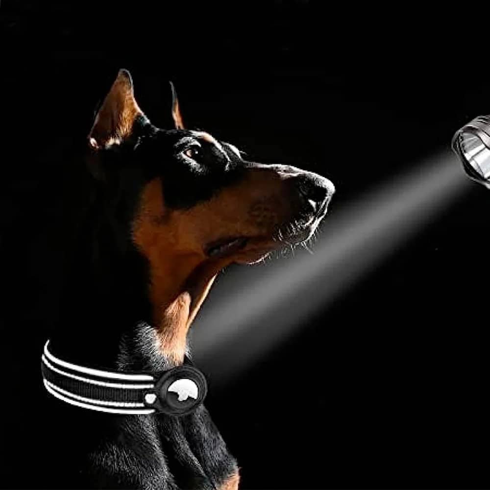 Collar táctico para perro con soporte para AirTag - Imagen 4
