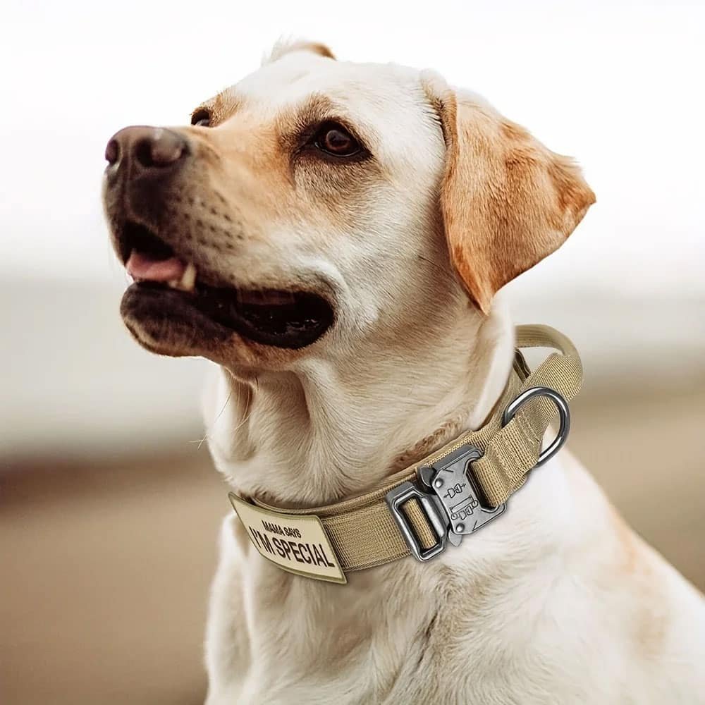Collar táctico para perros con asa de control - Imagen 4