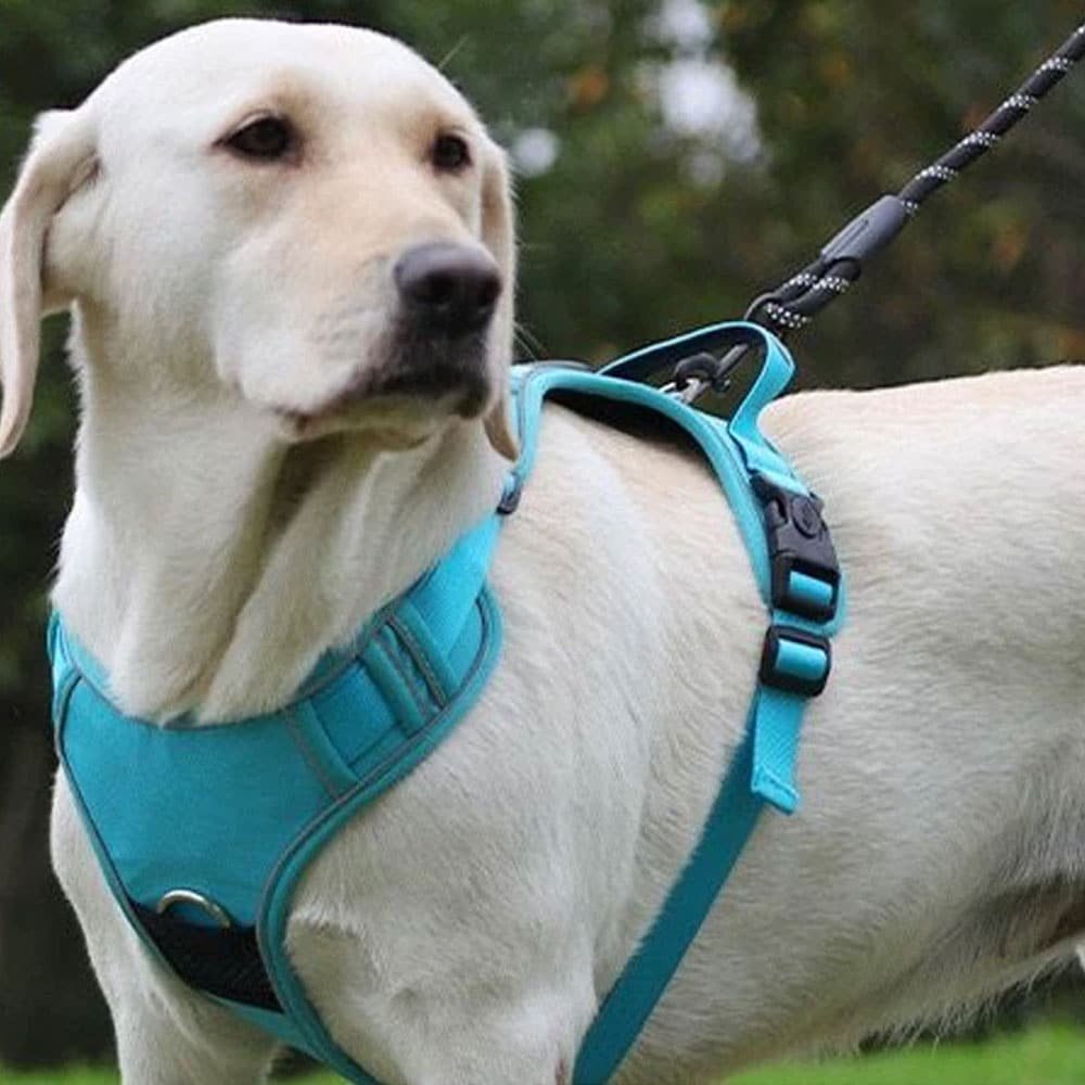 Arnés táctico para perros con airtag - Imagen 3