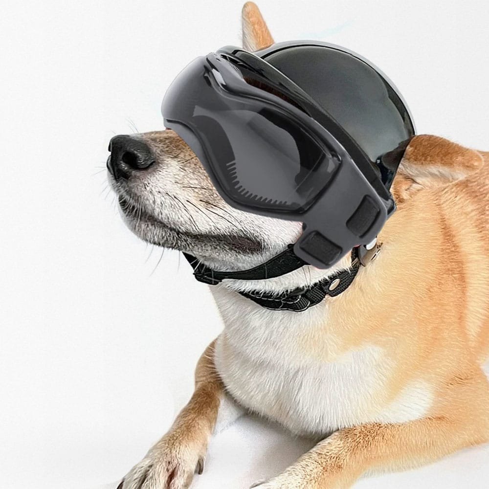 Casco táctico y gafas para perros - Imagen 2