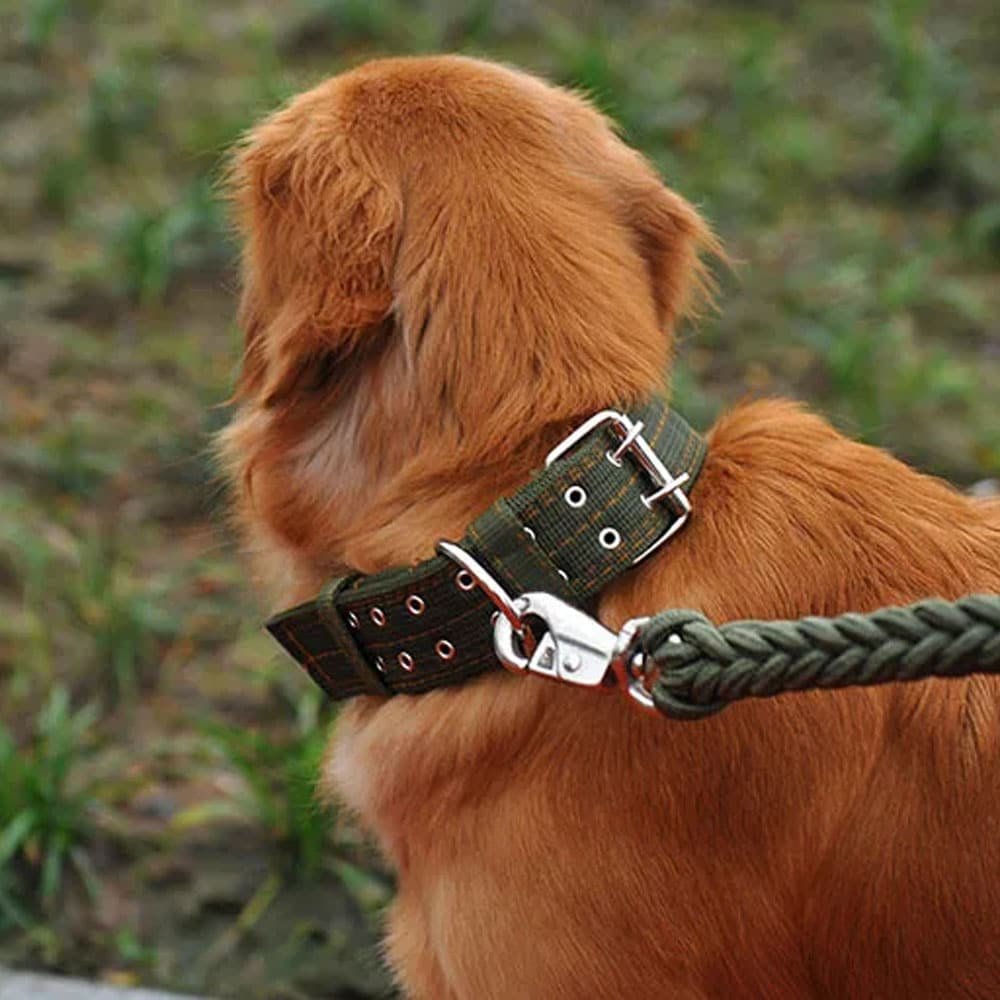Collar táctico para perro con hebilla de doble pasador - Imagen 3