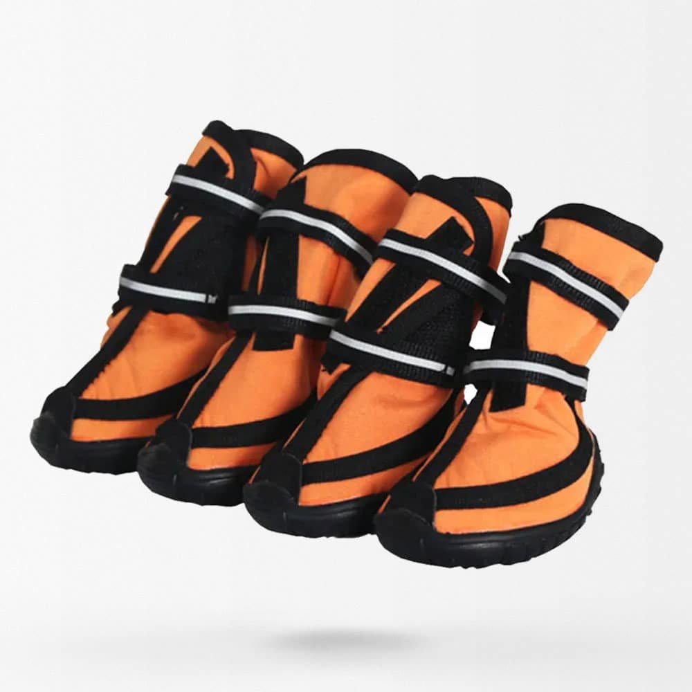 Botas militares impermeables para perros
