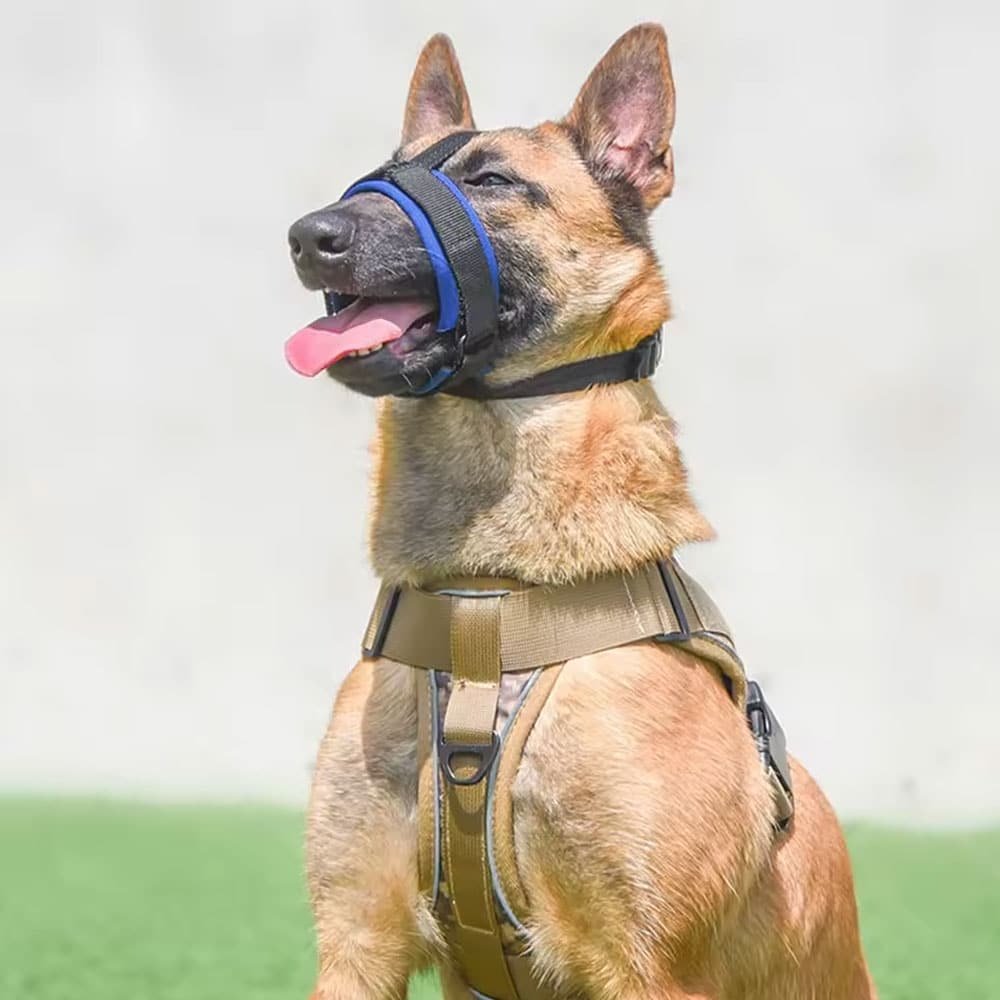 Bozal militar para perros - Imagen 4