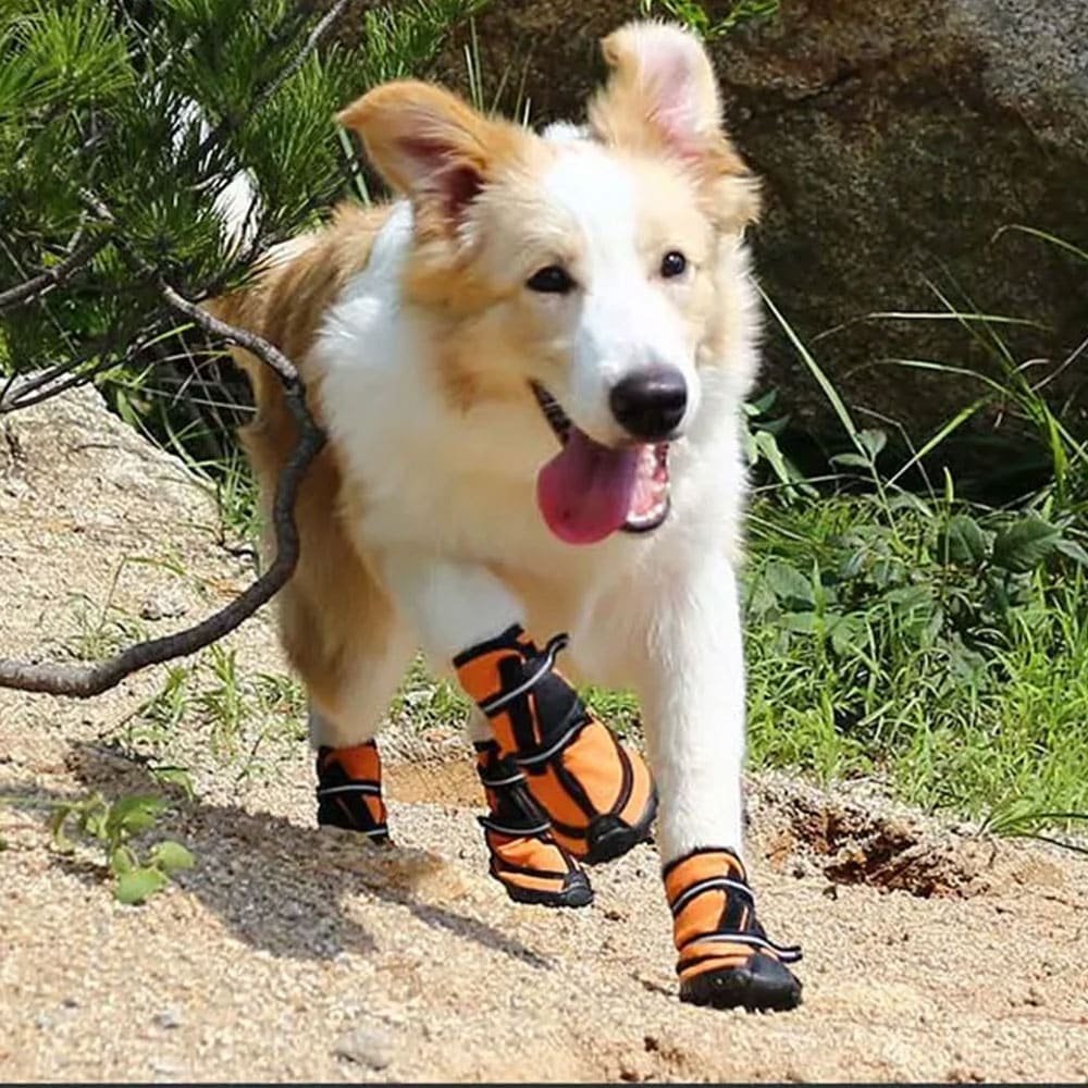 Botas militares impermeables para perros - Imagen 5