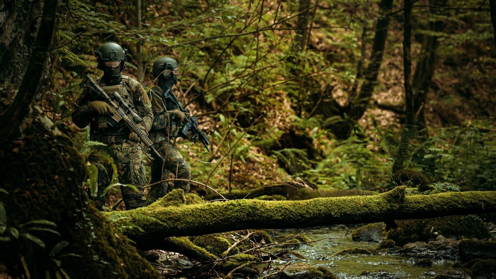 Eficiencia de Flecktarn