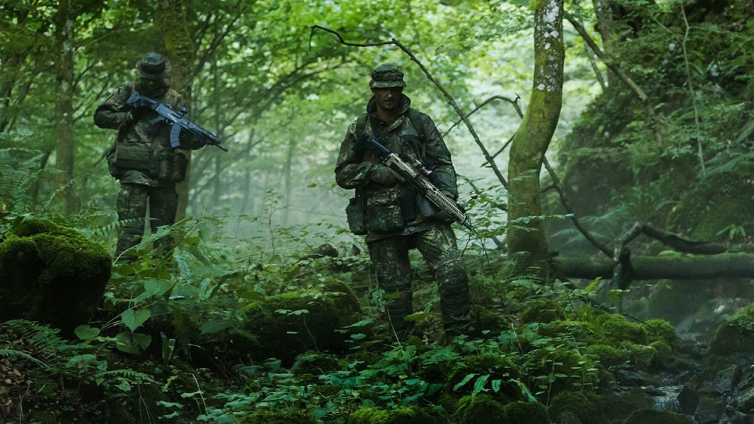 Flecktarn dónde usar